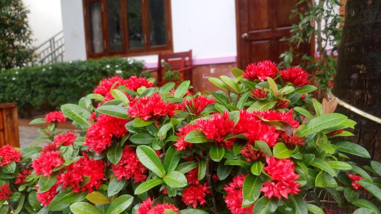 Camellia Resort&Spa Phú Quốc Eksteriør billede