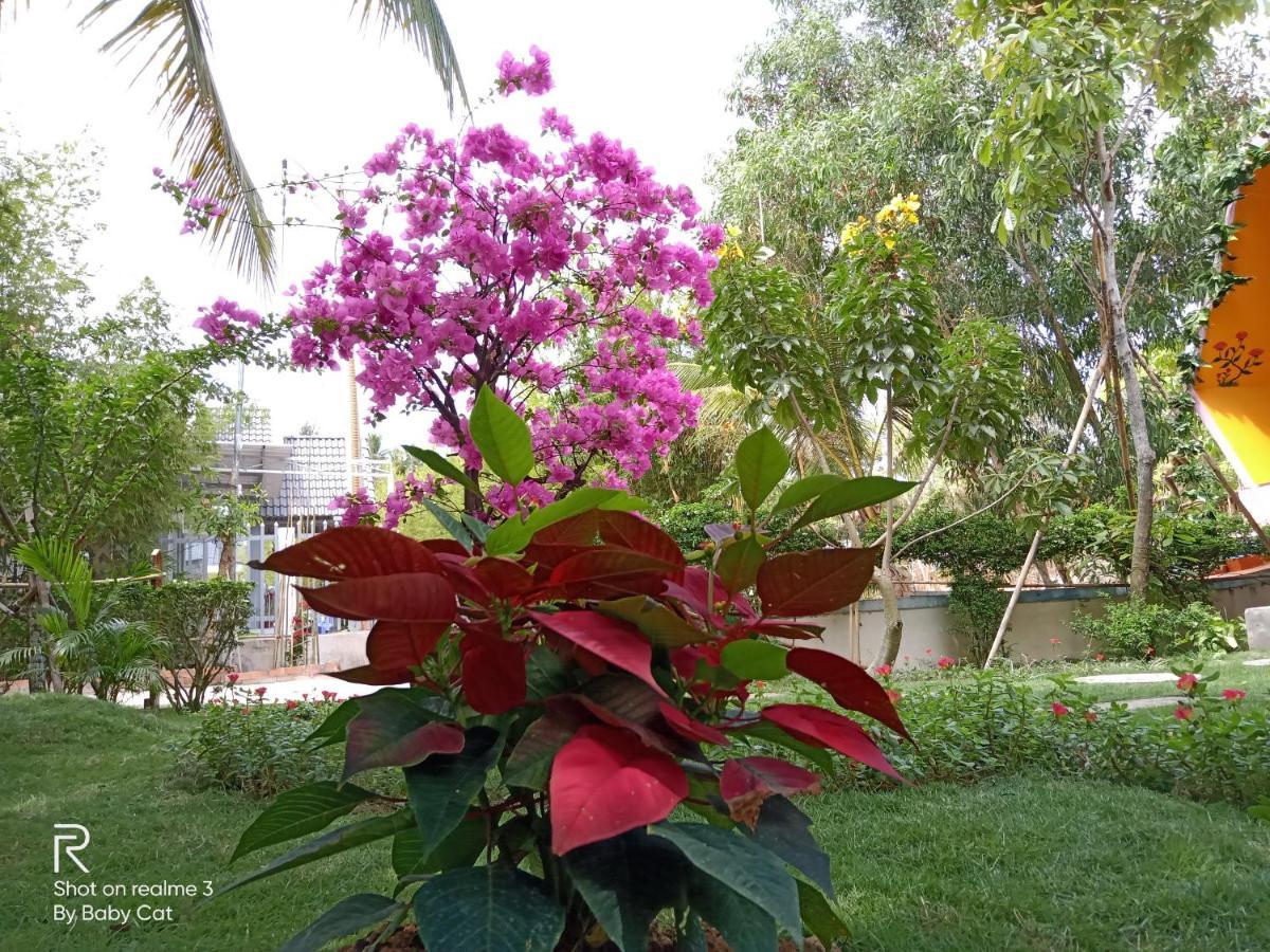 Camellia Resort&Spa Phú Quốc Eksteriør billede